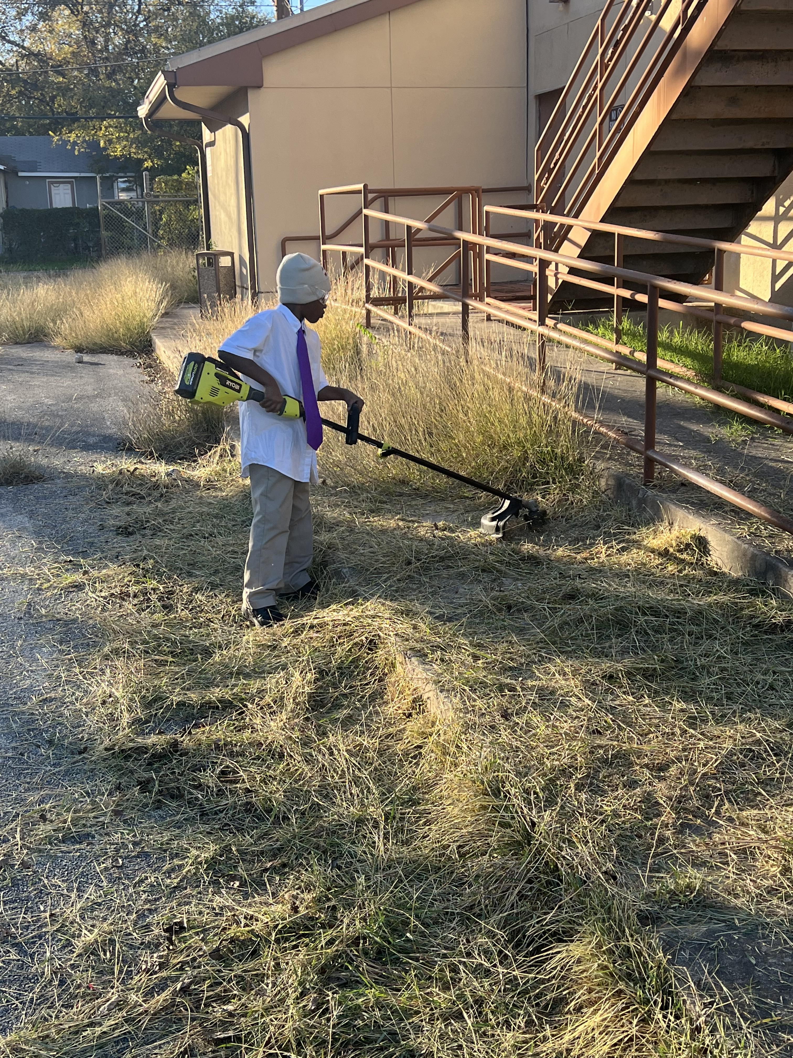 Clearing the grounds during renovation